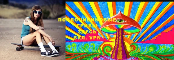 ешки Алексеевка