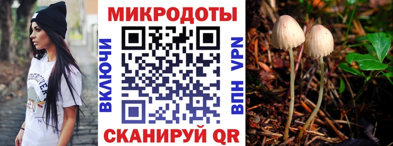 Псилоцибиновые грибы GOLDEN TEACHER  наркотики  Закаменск 