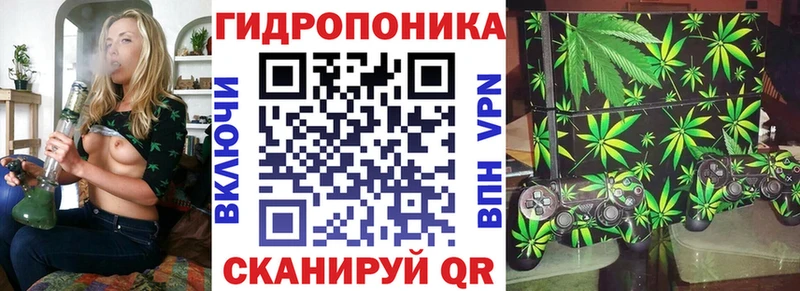 Каннабис планчик  Закаменск 